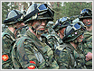 Soldiers in Woods Wearing Camouflage Gear, Bearing Special Orange Arm Patch